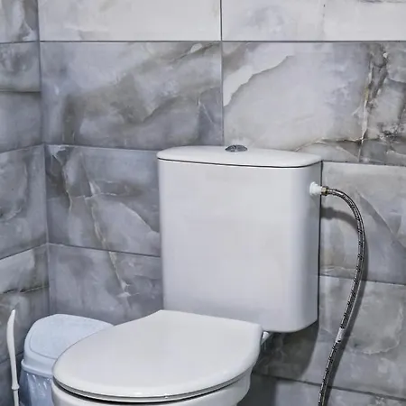 Tushe Luxury Apartment *